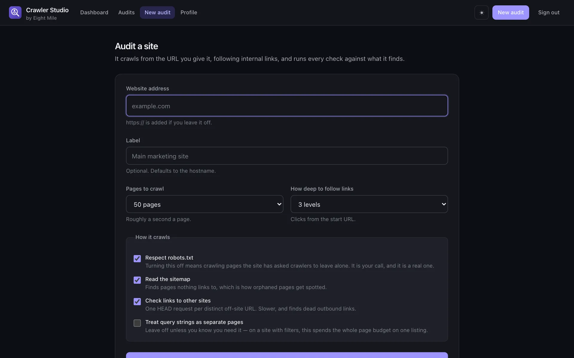 The new audit form: a website address, page and depth limits, and four crawl options each with an explanation